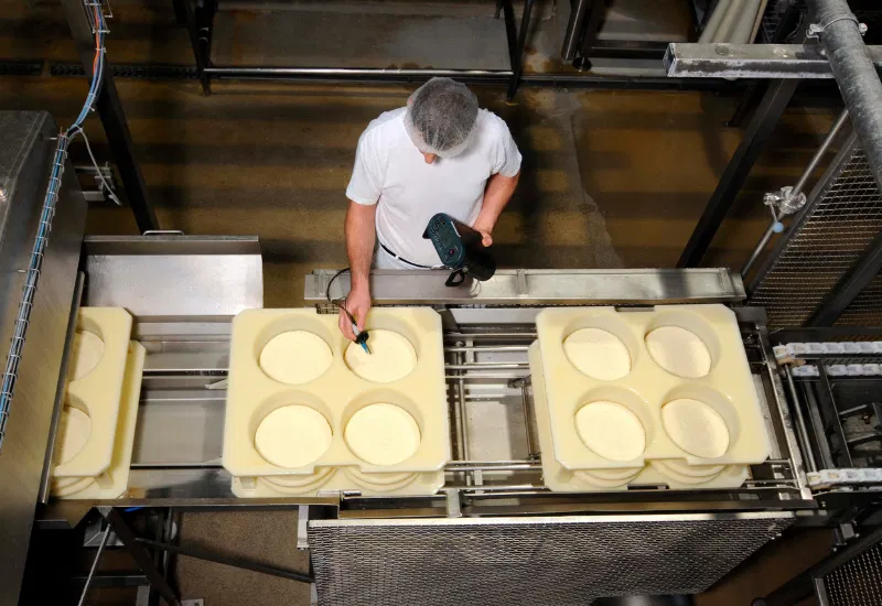 Sécurité alimentaire Température du fromage